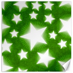 Snowflakes And Star Patterns Green Stars Canvas 12  X 12 