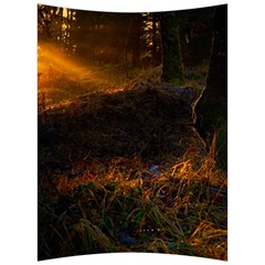 Sunset Forest Fall Sunbeams Nature Back Support Cushion by danenraven