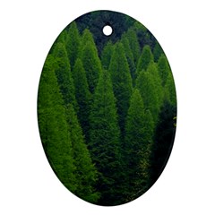 Forest Scenery Nature Trees Woods Ornament (oval) by danenraven