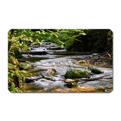 Bach Water Landscape Nature Forest Summer Sun Magnet (rectangular) by danenraven