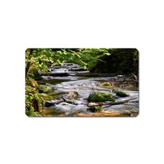 Bach Water Landscape Nature Forest Summer Sun Magnet (name Card) by danenraven