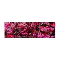 Red Leaves Plant Nature Leaves Flora Foliage Sticker (bumper) by danenraven