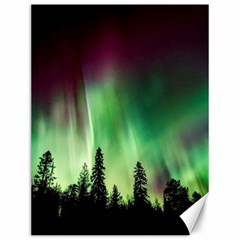 Aurora Borealis Northern Lights Forest Trees Woods Canvas 12  x 16 
