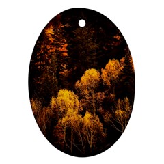 Autumn Fall Foliage Forest Trees Woods Nature Oval Ornament (two Sides) by danenraven