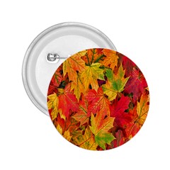 Autumn Background Maple Leaves 2 25  Buttons