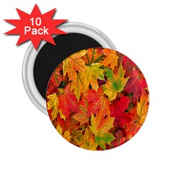 Autumn Background Maple Leaves 2 25  Magnets (10 Pack)  by artworkshop