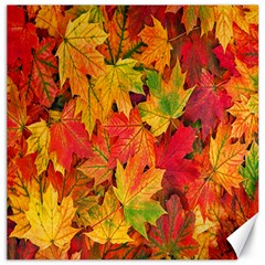 Autumn Background Maple Leaves Canvas 20  X 20  by artworkshop