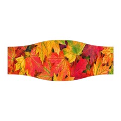 Autumn Background Maple Leaves Stretchable Headband by artworkshop