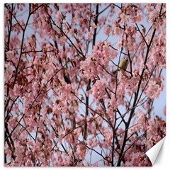 Japanese Sakura Background Canvas 20  X 20  by artworkshop