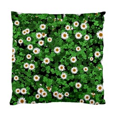 Daisies Clovers Lawn Digital Drawing Background Standard Cushion Case (one Side)