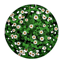 Daisies Clovers Lawn Digital Drawing Background Ornament (round Filigree)