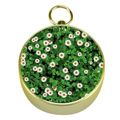 Daisies Clovers Lawn Digital Drawing Background Gold Compasses