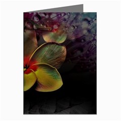 Beautiful Floral Greeting Cards (pkg Of 8) by Sparkle