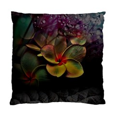 Beautiful Floral Standard Cushion Case (two Sides)