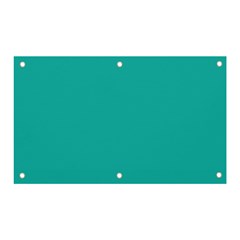 Color Light Sea Green Banner And Sign 5  X 3  by Kultjers