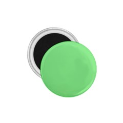 Color Light Green 1 75  Magnets by Kultjers
