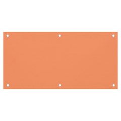 Color Light Salmon Banner And Sign 6  X 3  by Kultjers