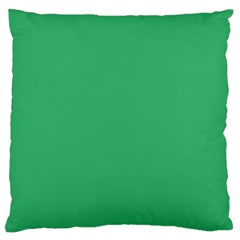 Color Medium Sea Green Standard Flano Cushion Case (one Side)
