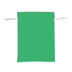 Color Medium Sea Green Lightweight Drawstring Pouch (l)