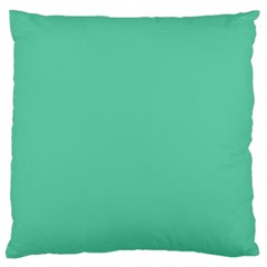 Color Medium Aquamarine Large Flano Cushion Case (two Sides) by Kultjers