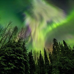 Aurora Borealis In Sky Over Forest Play Mat (rectangle) by danenraven