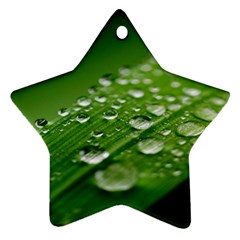 Green Water Leaf Star Ornament (two Sides) by artworkshop