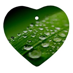 Green Water Leaf Heart Ornament (two Sides)