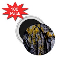 Rock Wall Crevices  1 75  Magnets (100 Pack)  by artworkshop