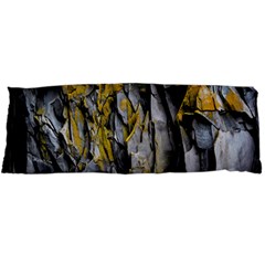 Rock Wall Crevices  Body Pillow Case Dakimakura (two Sides) by artworkshop