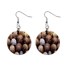 Snail Shells Pattern Arianta Arbustorum Mini Button Earrings