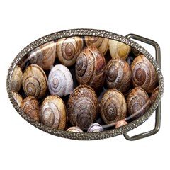 Snail Shells Pattern Arianta Arbustorum Belt Buckles by artworkshop