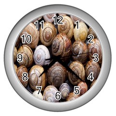 Snail Shells Pattern Arianta Arbustorum Wall Clock (silver) by artworkshop