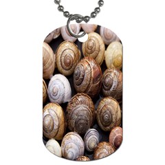 Snail Shells Pattern Arianta Arbustorum Dog Tag (One Side)