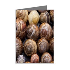 Snail Shells Pattern Arianta Arbustorum Mini Greeting Card