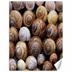 Snail Shells Pattern Arianta Arbustorum Canvas 12  X 16  by artworkshop