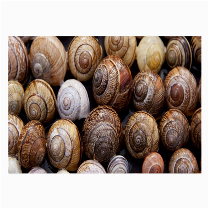 Snail Shells Pattern Arianta Arbustorum Large Glasses Cloth (2 Sides)