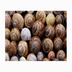 Snail Shells Pattern Arianta Arbustorum Small Glasses Cloth (2 Sides) by artworkshop