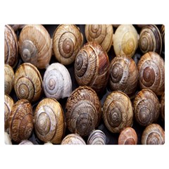 Snail Shells Pattern Arianta Arbustorum Premium Plush Fleece Blanket (extra Small)