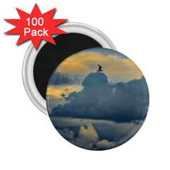 Bird Flying Over Stormy Sky 2 25  Magnets (100 Pack)  by dflcprintsclothing