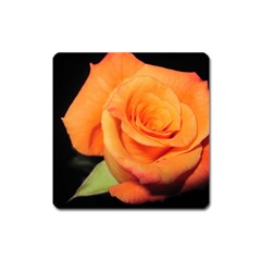 Color of Desire Square Magnet