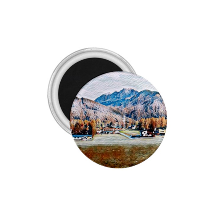 Trentino Alto Adige, Italy. 1.75  Magnets