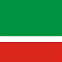 Chechen Republic Play Mat (rectangle) by tony4urban