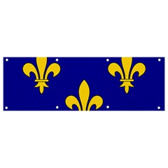 Ile De France Flag Banner And Sign 9  X 3  by tony4urban