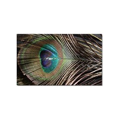 Peacock Sticker Rectangular (10 Pack) by StarvingArtisan