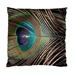 Peacock Standard Cushion Case (two Sides) by StarvingArtisan