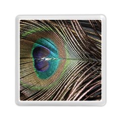 Peacock Memory Card Reader (square)