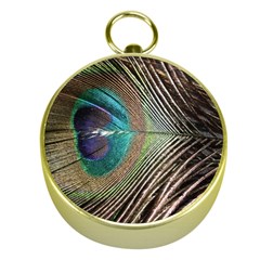 Peacock Gold Compasses by StarvingArtisan