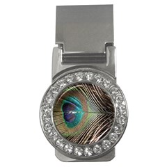 Peacock Money Clips (cz)  by StarvingArtisan