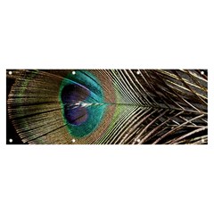 Peacock Banner And Sign 8  X 3  by StarvingArtisan