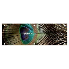 Peacock Banner And Sign 6  X 2  by StarvingArtisan